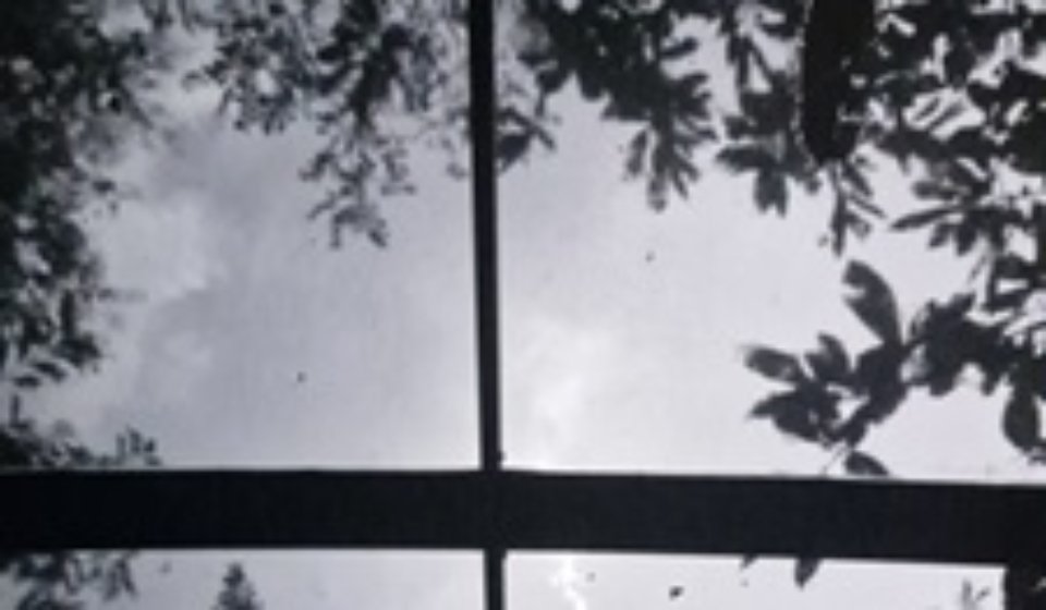 1726818720231 - Copie