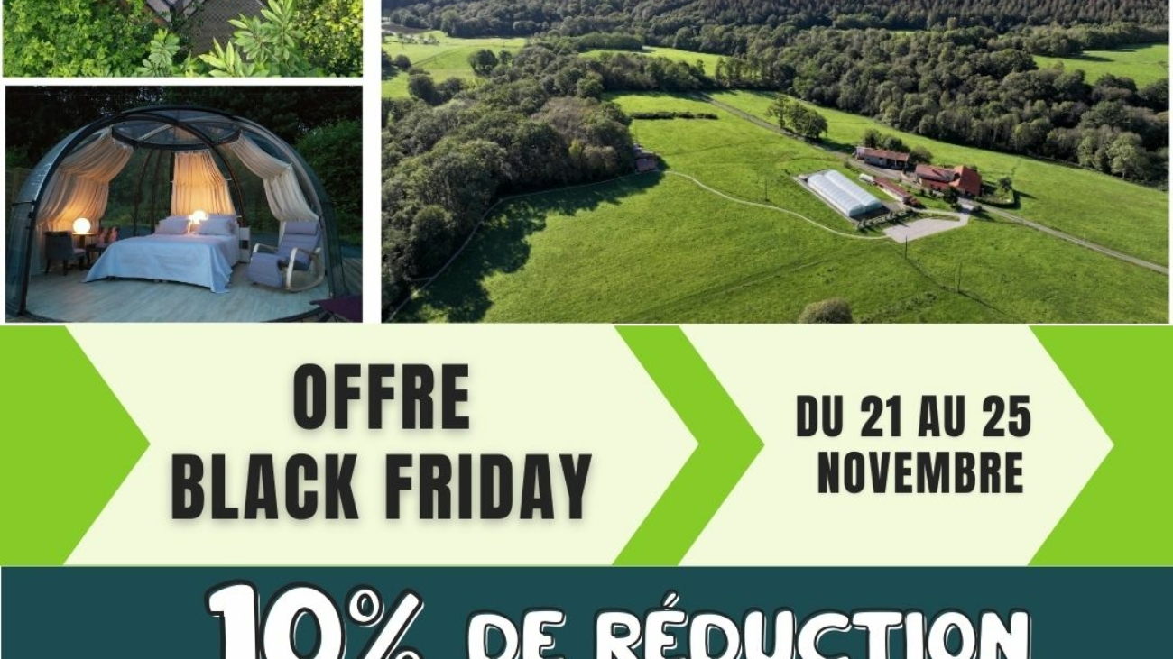 promo black friday