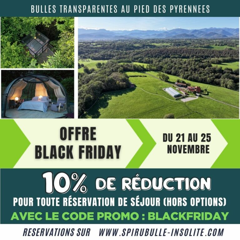 promo black friday