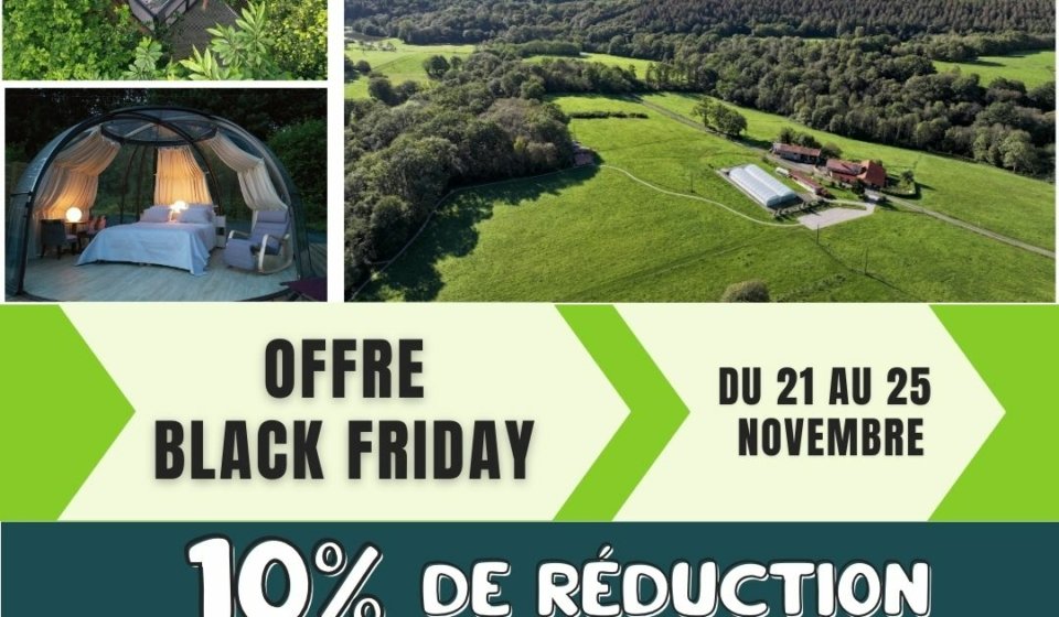 promo black friday